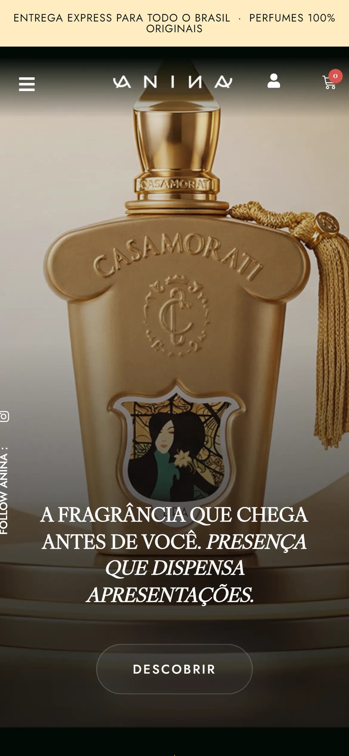 Topo do site no celular
